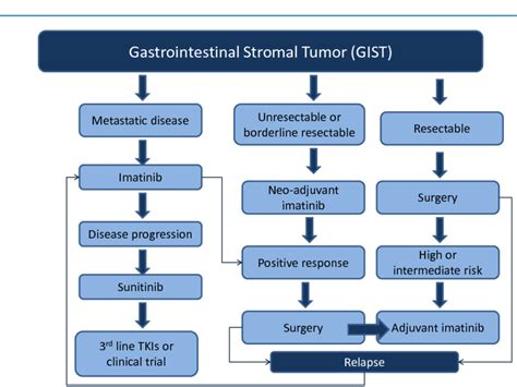 Framework Of Management Of Gastrointestinal Stromal Tumors Gist This
