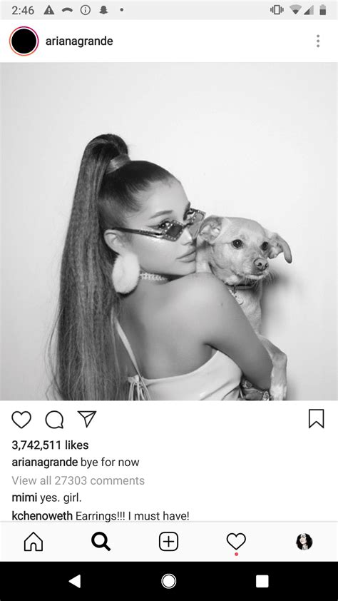 Ariana Grande Instagram Followers Advertisemint