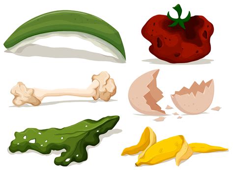 Rotten Food Vector Art Icons And Graphics For Free Download