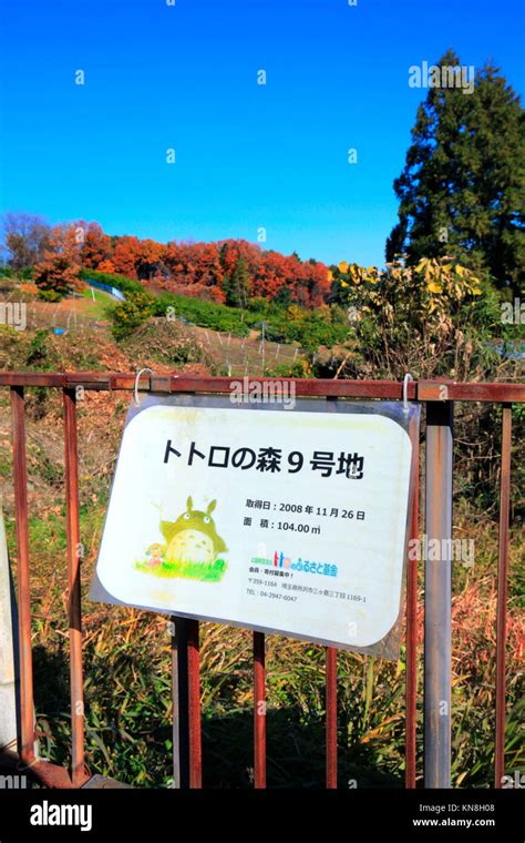 Totoro Forest No9 In Sayama Hills In Tokorozawa City Saitama Japan