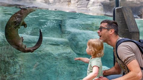 Tennessee Aquarium Modifies Mask Requirements As Of June 1st