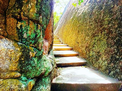 Sri Lanka Nature Sea Road Rock Stairs Trees