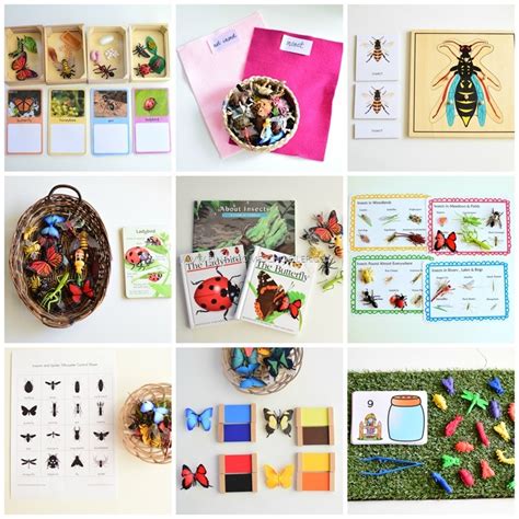 Montessori Inspired Insect Activities For Preschoolers The Pinay
