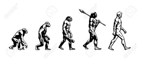 Evolucion Ser Humano
