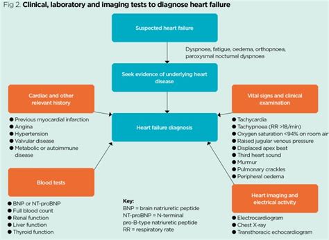 Figure 2 From Pathophysiology And Clinical Evaluation Of Acute Heart