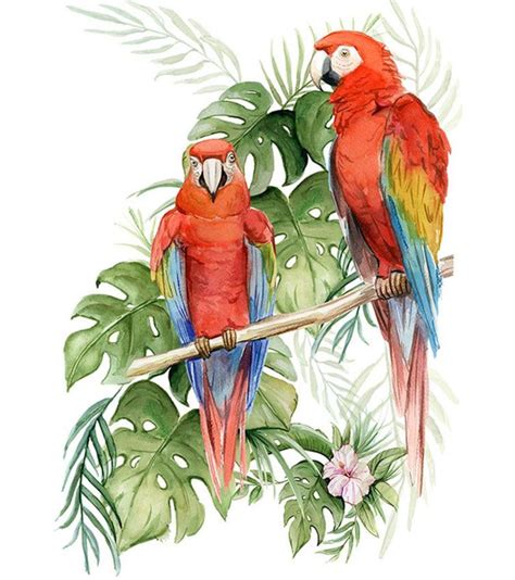 Parrot Painting Mural Painting Mural Art Birds Painting Painting