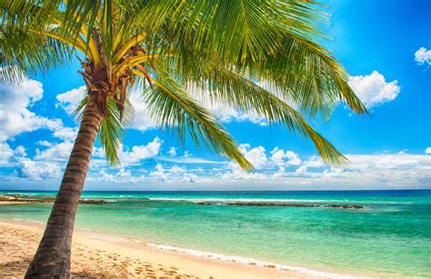 tropical paradise desktop wallpapers top free tropical paradise desktop backgrounds