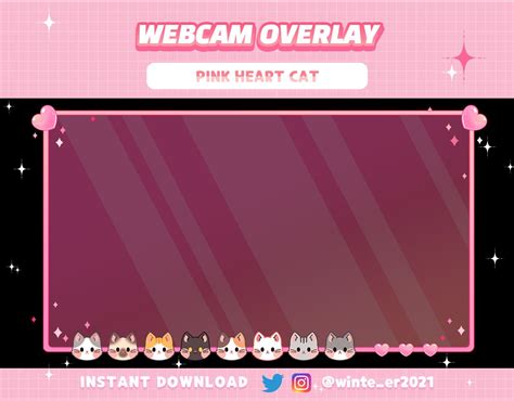 Twitch Pink Lie Cat Webcam Overlay Pink Overlay Pink Heart Etsy