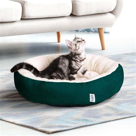 10 Best Cat Beds For Kittens In 2021 Reviews And Top Picks Hepper