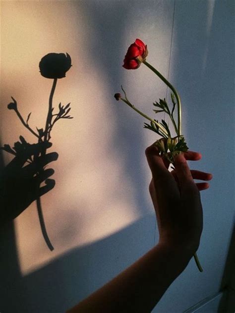 Pin By Šamana 🔥 On Aesthetic Aesthetic Photography Aesthetic Roses