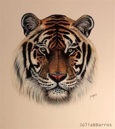 Pin By Fabian On Tigres Desenhos Pinturas Tatuagens Tiger Drawing