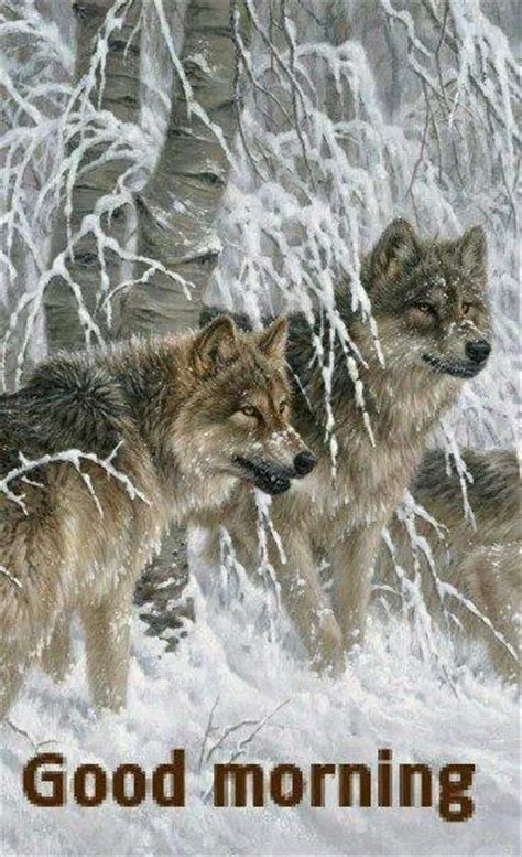 24 Good Morning With Wolf Images