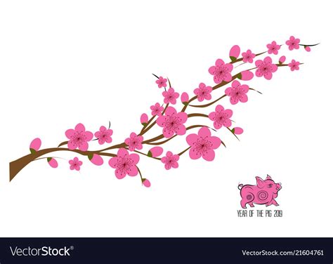 Japan Cherry Blossom Branching Tree Japanese Vector Image