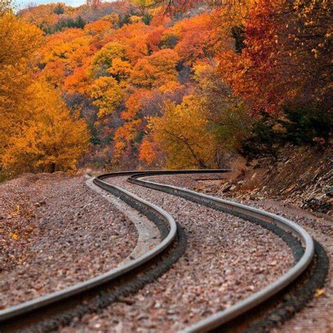 Railroad Tracks In Nature Autumn Landscape Autumn Scenery Scenery