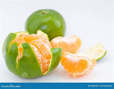 Peeled Honey Mandarin Oranges Stock Photo Image Of Fleshy Fruit 5226742