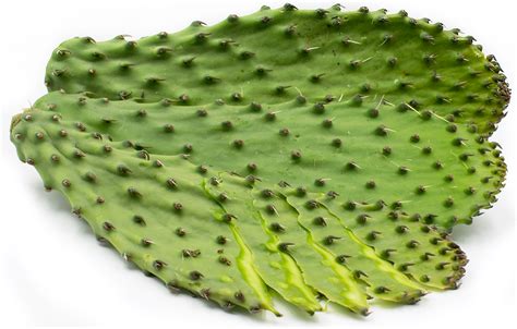Place in a saucepan with 1 tablespoon of salt, and fill with enough water to cover. Nopales is native to central Mexico, where evidence was ...
