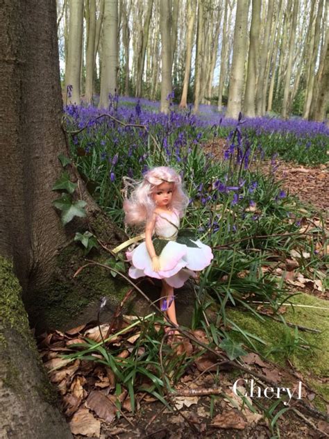 Sindy Fairy In Bluebell Wood Bluebells Sindy Doll Fairy