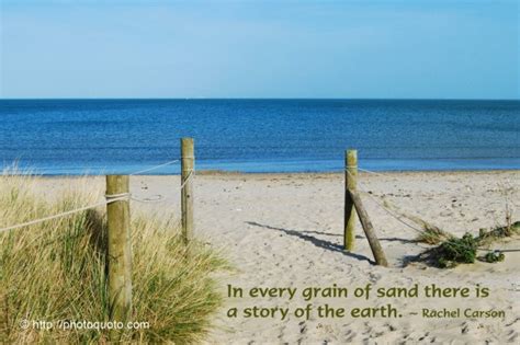In this post i'd like to share the best friendship quotes i've found in the past 10+ years. In every grain of sand there is a story of the earth. | Rachel Carson Picture Quotes | Quoteswave