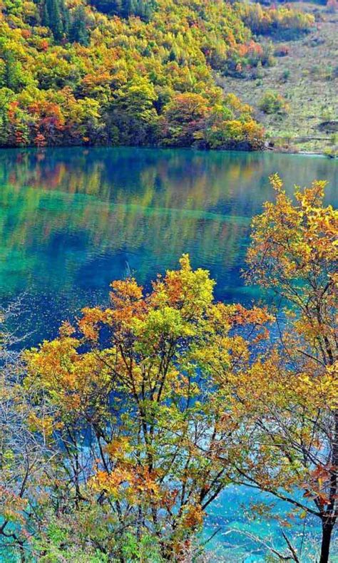 480x800 Wallpaper Crystalline Turquoise Lake Jiuzhaigou National Park