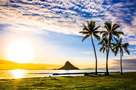 Desktop Wallpapers Hawaii Usa Sun Nature Scenery Palm Trees Sunrises