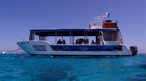 Glass Bottom Boat Turtle Viewing And Snorkel Tour 3 Hours Coral Bay