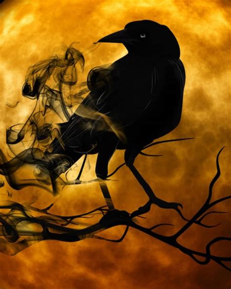 An Az Guide To Halloween Superstitions Customs And Traditions