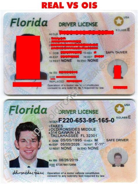 Florida Driver Licensenew Fl O21 V1 Best And Fast Fake Id Service