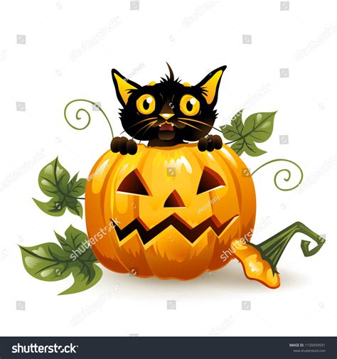 Black Cat Halloween Pumpkin Isolated On Stock Vector Royalty Free 1150499591 Shutterstock