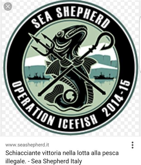 Pin By William Nowell On Patches Appliques Sea Shepherd Sea Shepherd