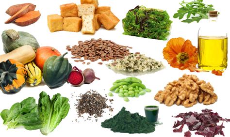 Vegetarian omega 3 fatty acid foods. Highest in Omega 3 Fatty Acids Foods - Health & Fitness
