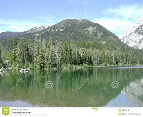 Mountain Lake And Forest Stock Photo Image Of Outside 86418342