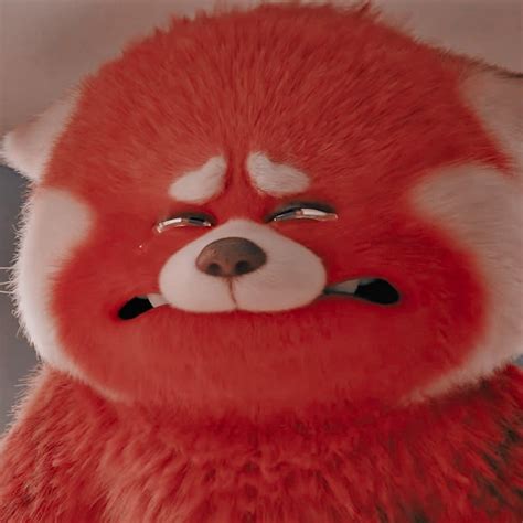 Disney Pixar Movies Disney And Dreamworks Red Panda Cute Panda Red