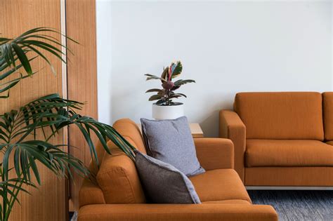 Arrange a Funeral Hobart | Graham Family Funeral Directors