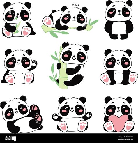 Cute Pandas Vector Set Of Illustrations Of Black And White Cubs
