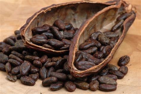 We did not find results for: Coffee beans fruit hd picture 2 Free stock photos in Image ...