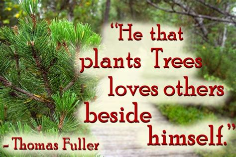 He poisoned our water supply, burned our crops and delivered a pleauge on to our houses. 60 Best Tree Quotes & Sayings