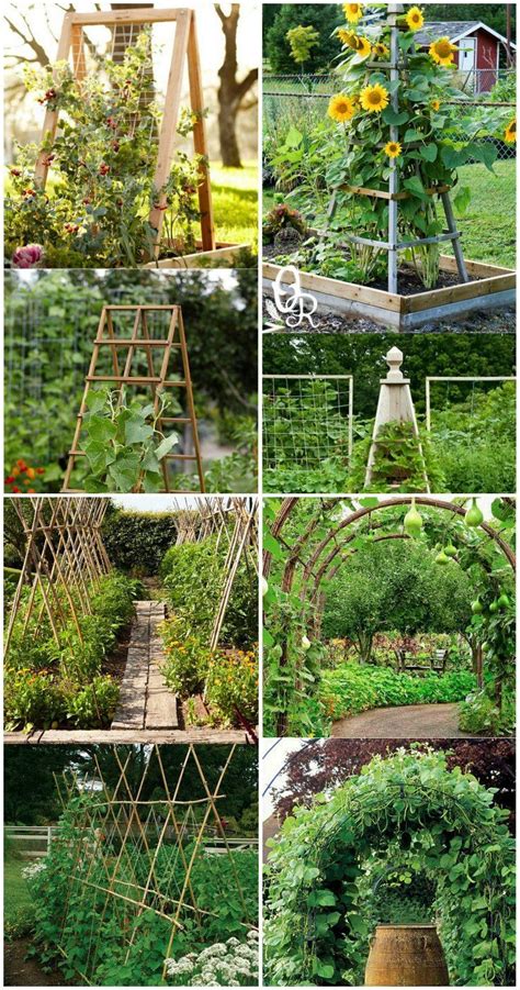 10 Easy Garden Trellis Ideas Most Stylish And Stunning Vegetable