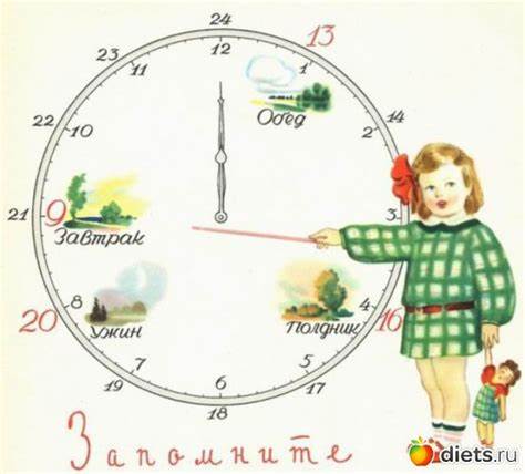 Можно ли похудеть если кушать два раза в день