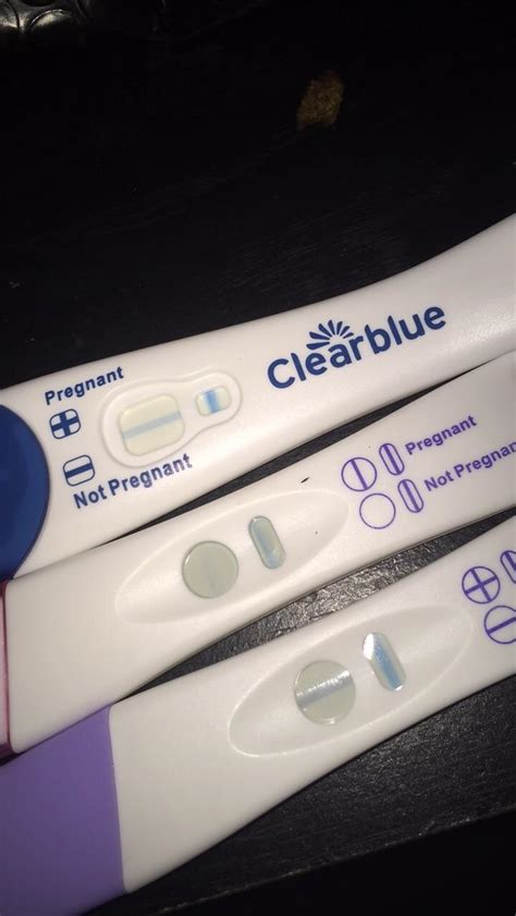 Rexall One Step Pregnancy Test Faint Line Liondiy