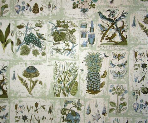 Botanical Wallpapers Wallpaper Cave