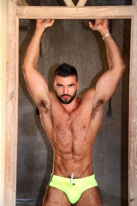 Hairy And Hung Stud Dario Owen By Wolfgang Jager Nude Men Nude Male