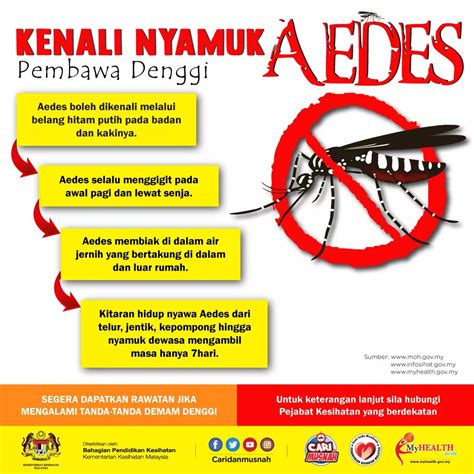 Denggi Lukisan Poster Nyamuk Aedes Poster Denggi Pdf