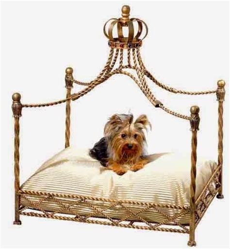 Rules Of The Jungle Designer Dog Beds