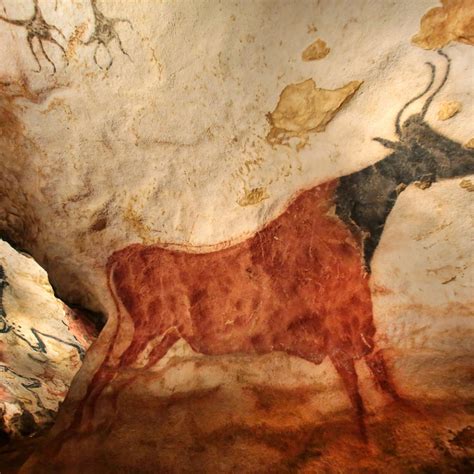 Did Art Peak 30000 Years Ago How Cave Paintings Became My Lockdown