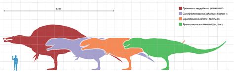 The Longest Predatory Dinosaurs Theropods Top 10