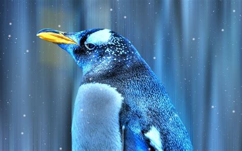 Animal Emperor Penguin Hd Wallpaper