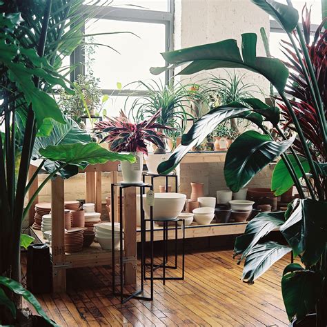 Inside The Tula House Showroom In Brooklyn Handmade Planter Plant