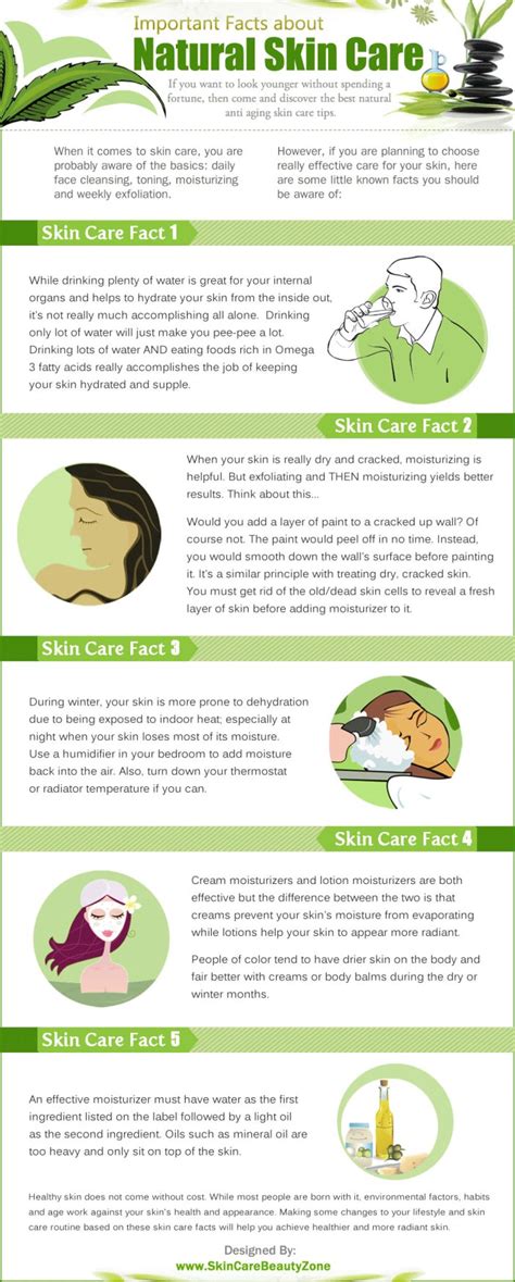 Facts About Natural Skin Care Infographic