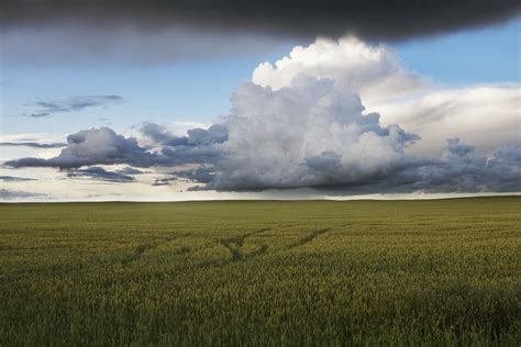 Storm Clouds Over A Grain Field Photograph By Dan Jurak