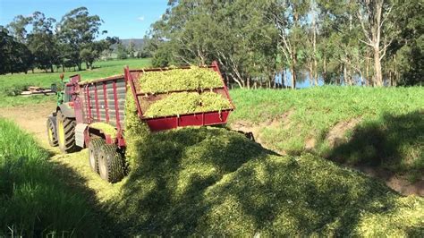 Maize Silage Making At Tocal Dairy Youtube